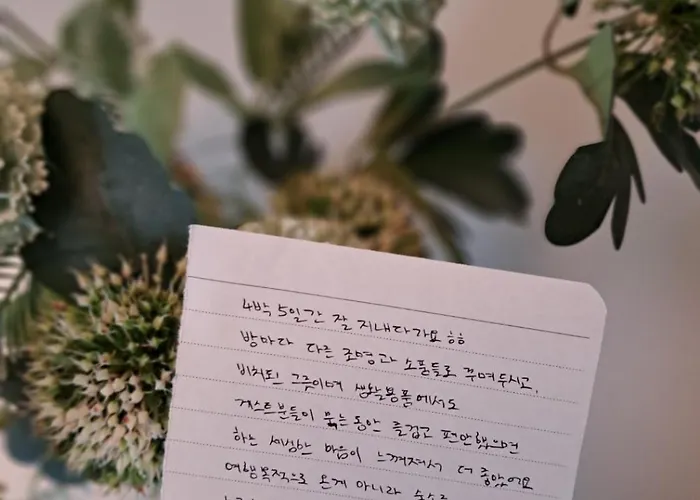 Feel Better, Gwangalli * 釜山広域市